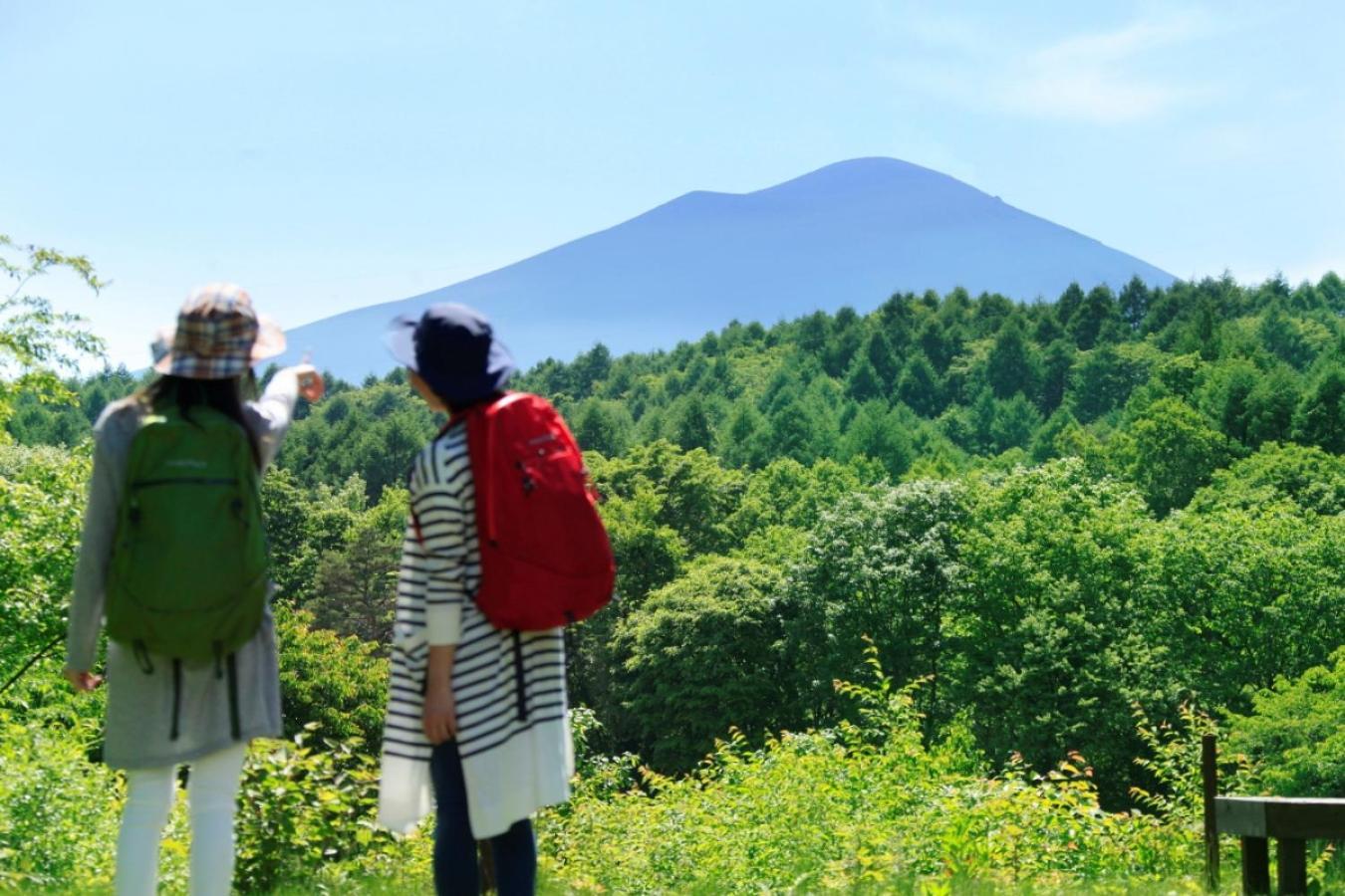 Ana Holiday Inn Resort Karuizawa By Ihg Kitakaruizawa Экстерьер фото